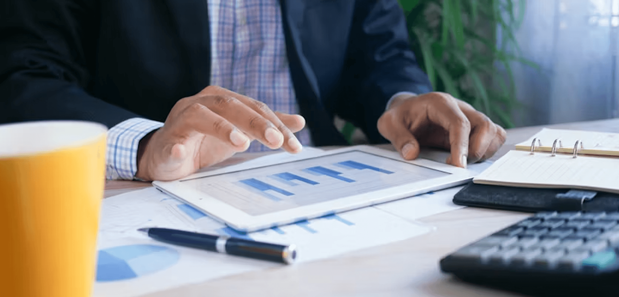 Business professional reviewing charts